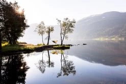 Amazonas Silk Traveller 1 Persoons Reishangmat - Techno -Professionele outdoor kampeerwinkel a181 16 op 01 resultaat